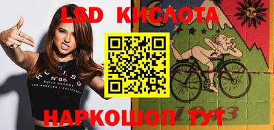 кокс Гатчина