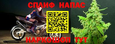 прущие крисы Гагарин