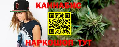 кокс Гатчина