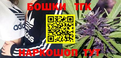 кокс Гатчина