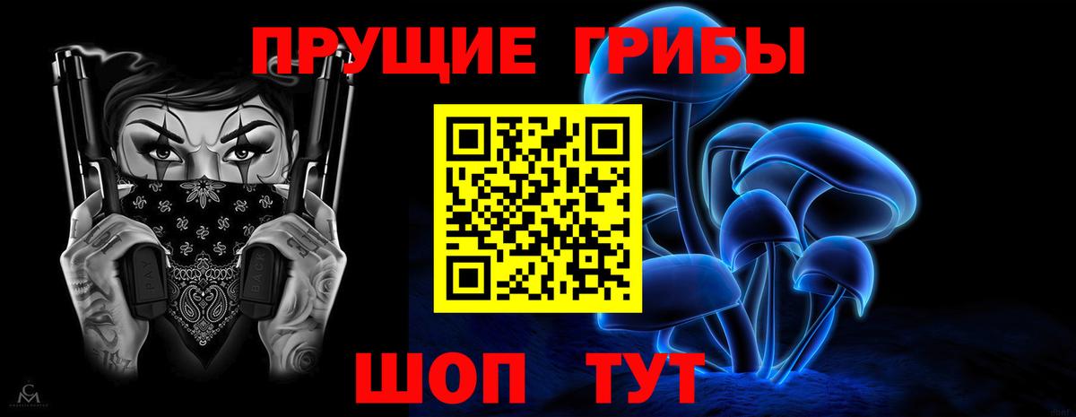 Галлюциногенные грибы Psilocybine cubensis Электрогорск
