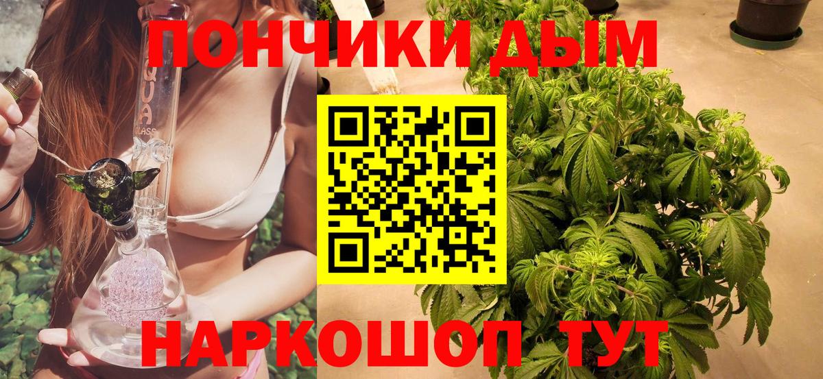 Бошки марихуана конопля Электрогорск